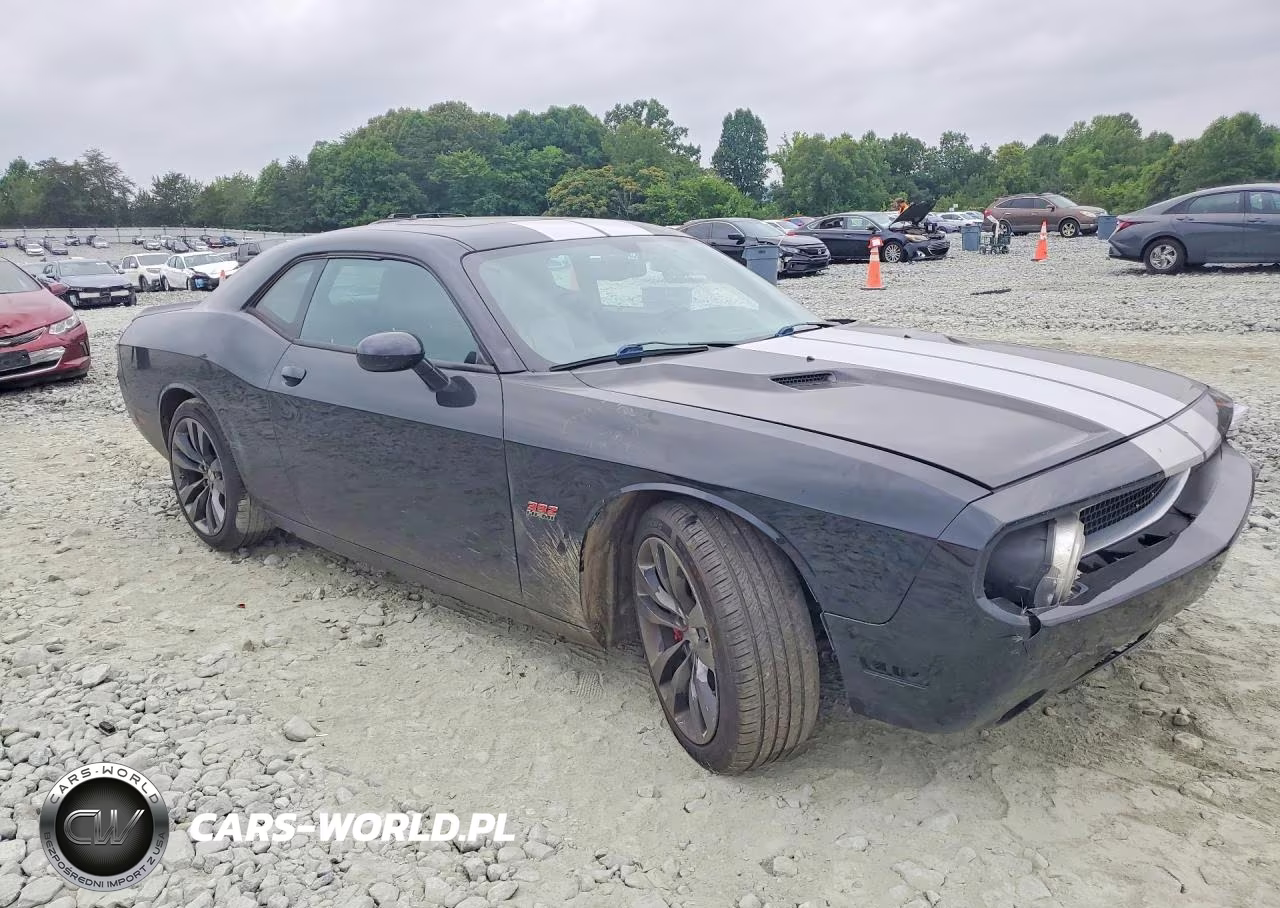 2014 Dodge Challenger Srt-8 VIN:2C3CDYCJ8EH246953 - 4