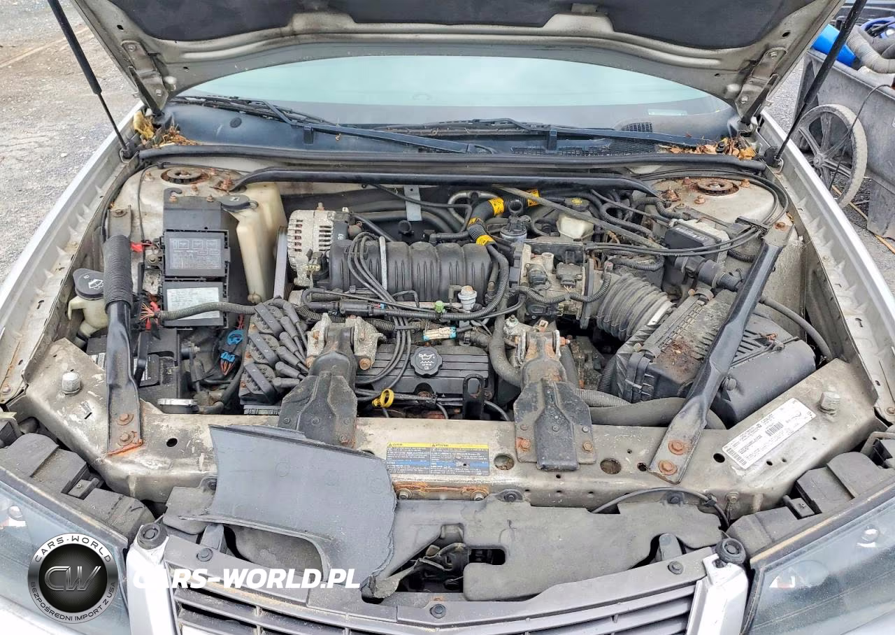 2003 Chevrolet Impala Ls VIN:2G1WH55K239392573 - 11
