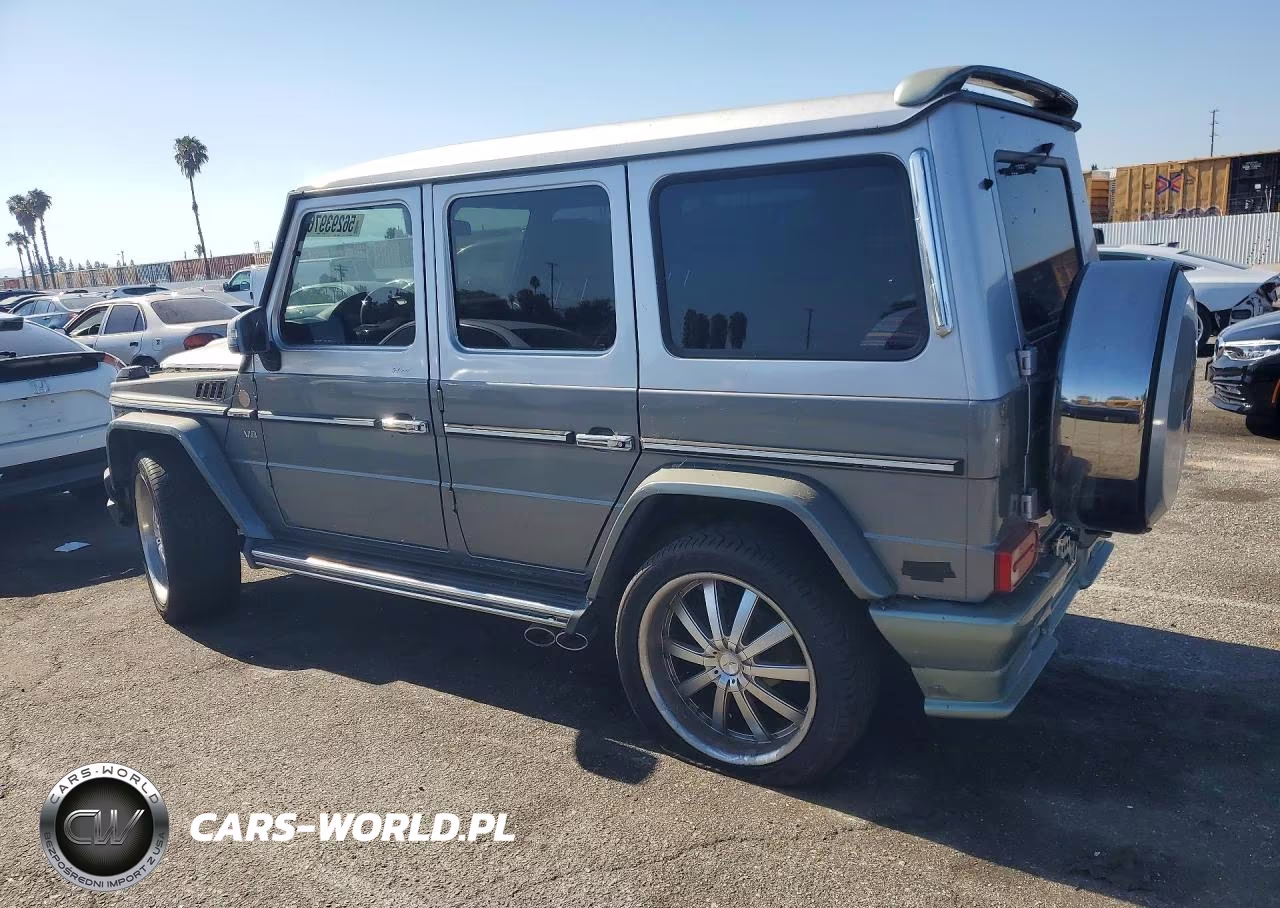 2002 Mercedes-Benz G 500 Brabus VIN:WDCYR49E62X128102 - 2