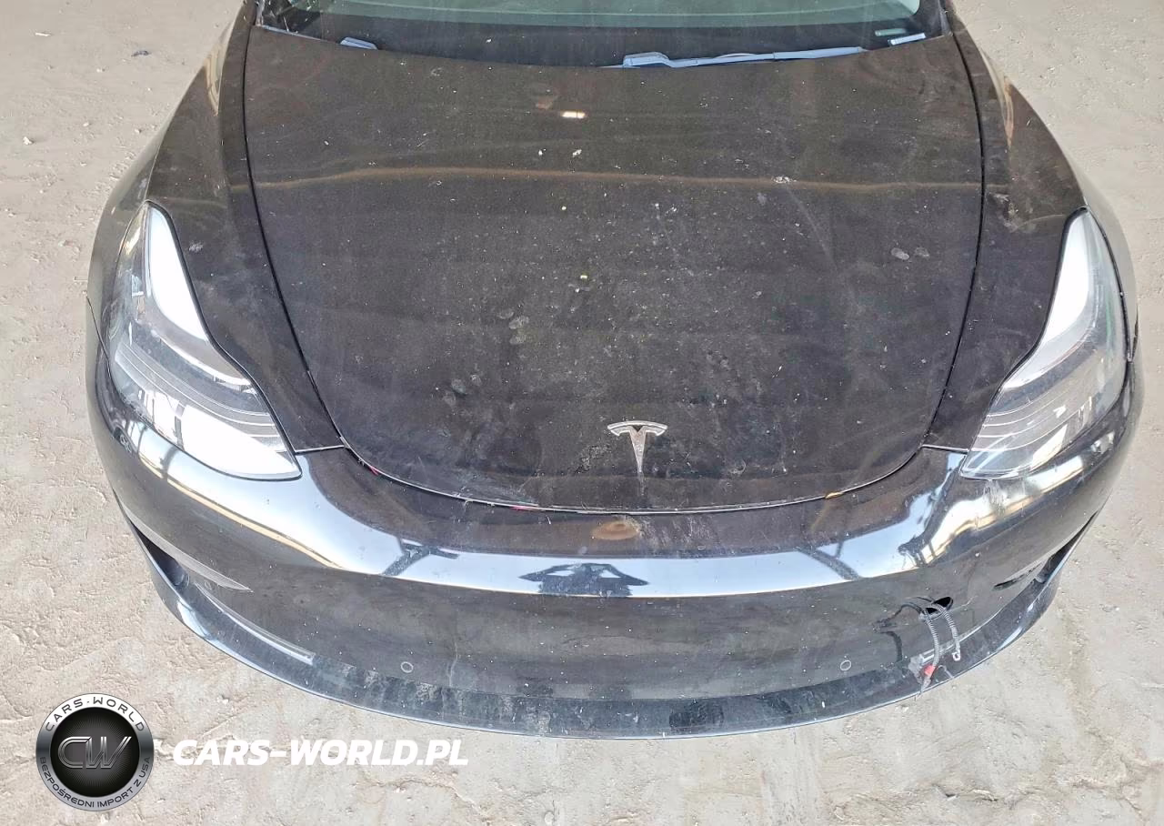 2019 Tesla Model 3 VIN:5YJ3E1EA5KF190162 - 11