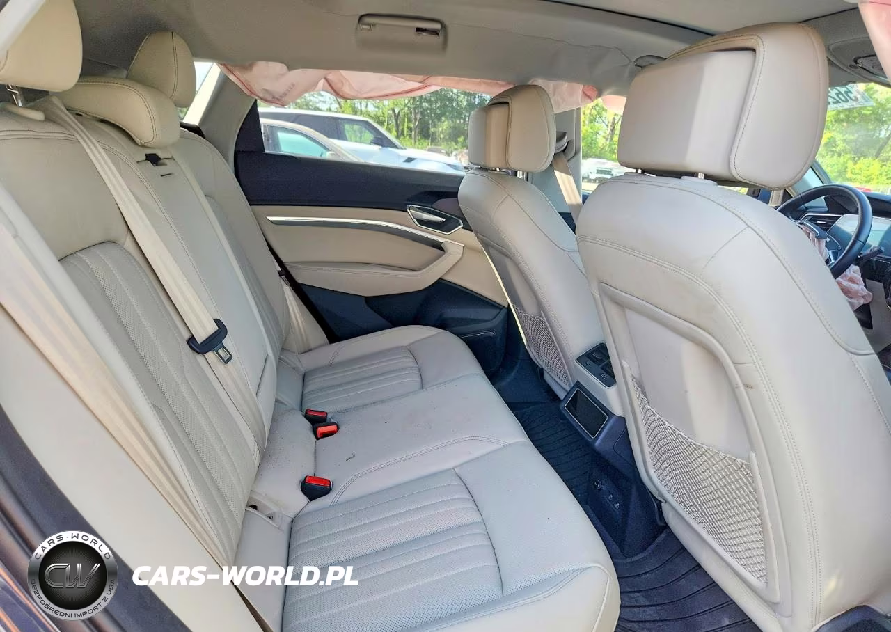 2024 Audi Q8 E-Tron Premium Plus VIN:WA15AAGE7RB021708 - 10