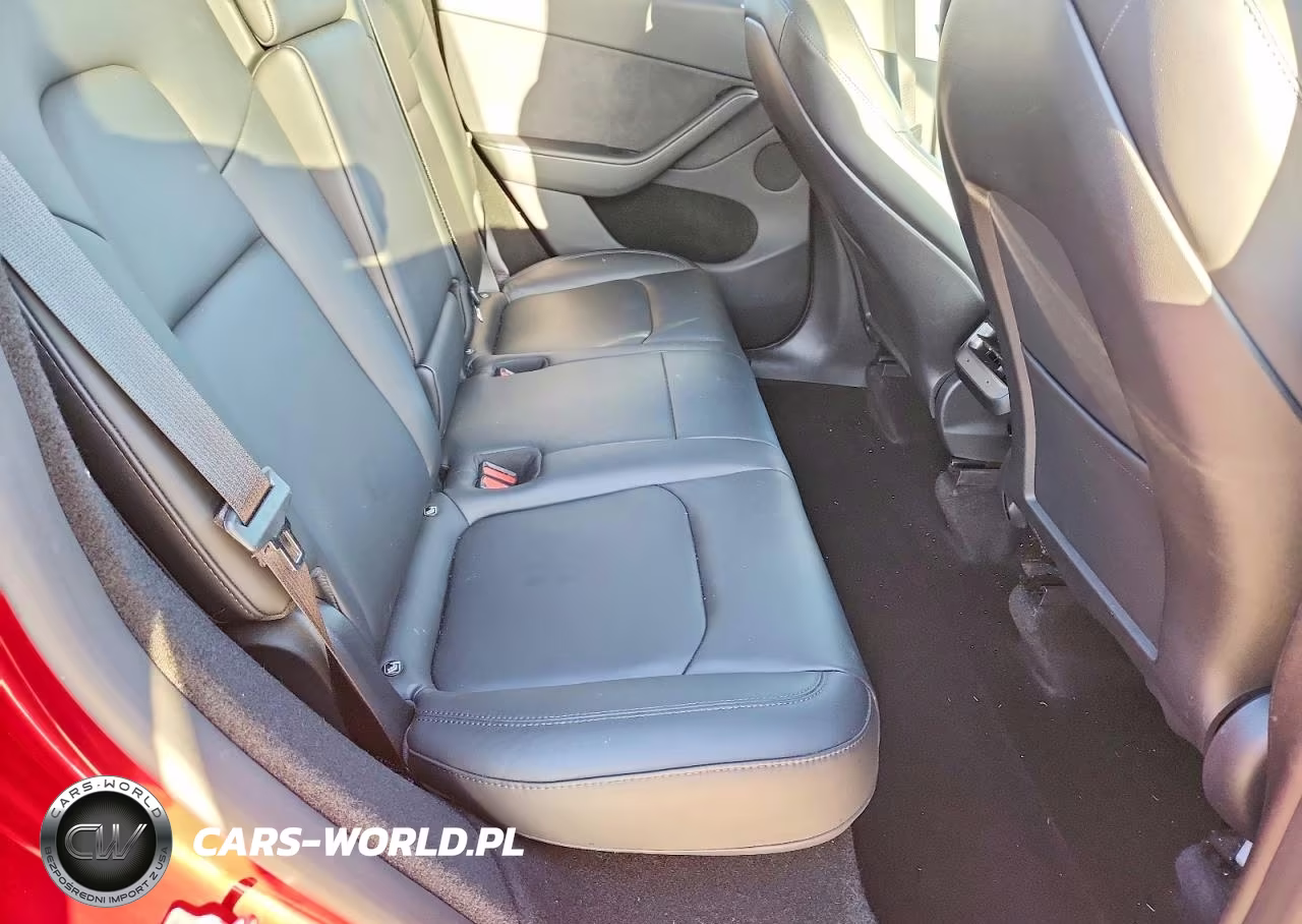 2024 Tesla Model Y VIN:7SAYGDEE6RA248942 - 10