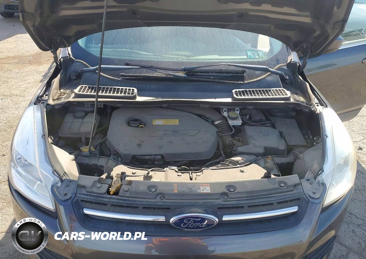 2016 Ford Escape Se VIN:1FMCU0GX4GUC67029 - 12