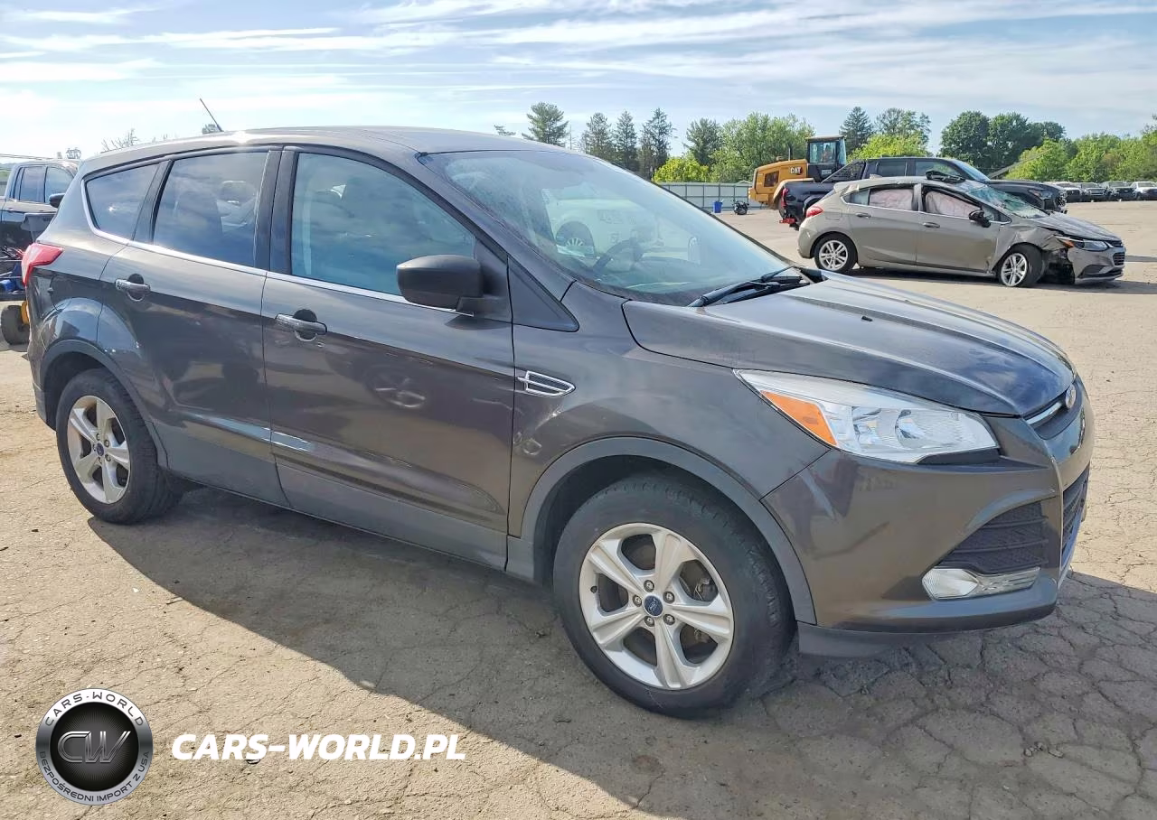 2016 Ford Escape Se VIN:1FMCU0GX4GUC67029 - 4