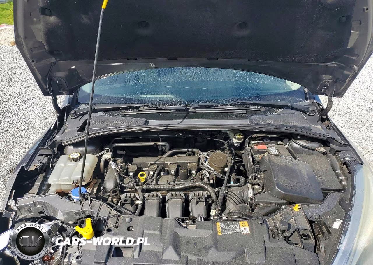 2016 Ford Focus Se VIN:1FADP3F27GL265908 - 11