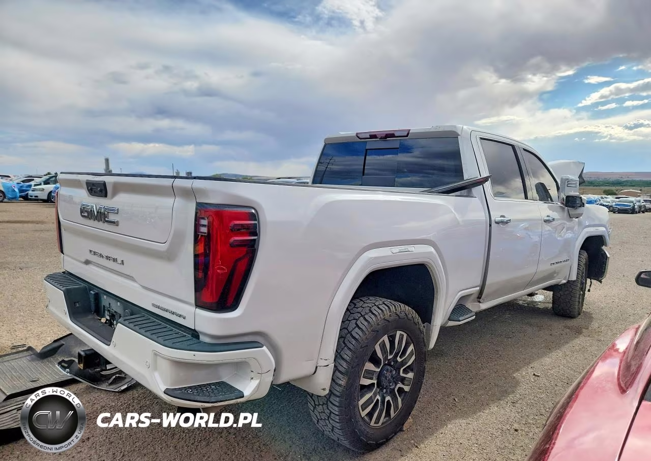 2024 GMC Sierra 2500 Hd Denal VIN:1GT49XEY6RF131166 - 3