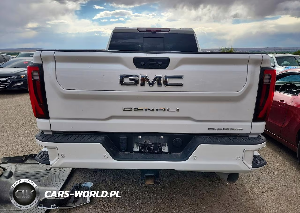 2024 GMC Sierra 2500 Hd Denal VIN:1GT49XEY6RF131166 - 6