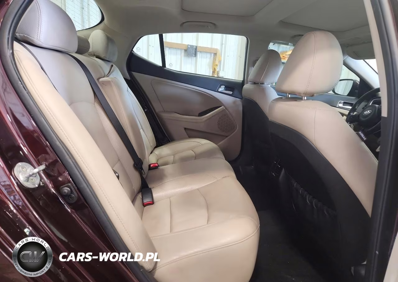 2015 Kia Optima Ex VIN:5XXGN4A70FG455568 - 10