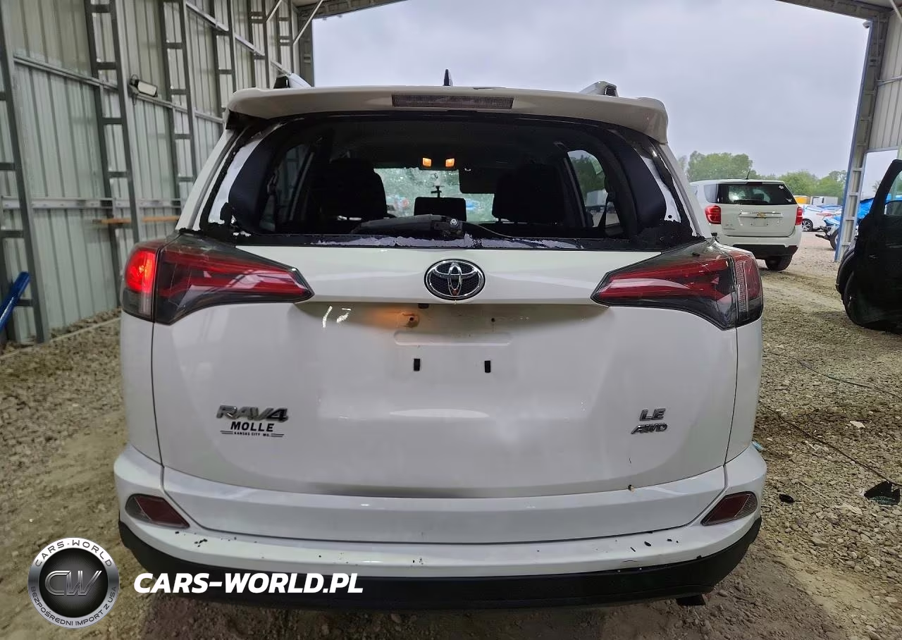 2016 Toyota Rav4 Le VIN:JTMBFREV5GD190297 - 6