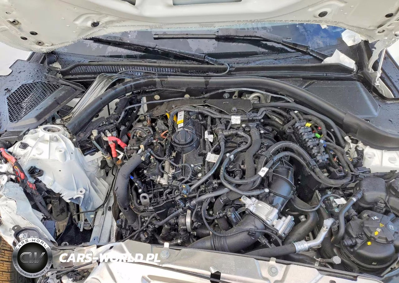 2026 BMW 230Xi VIN:3MW33CM02T8G28665 - 11