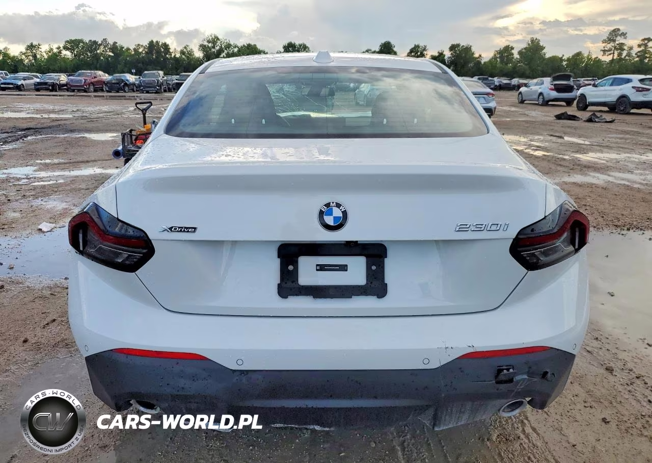 2026 BMW 230Xi VIN:3MW33CM02T8G28665 - 6
