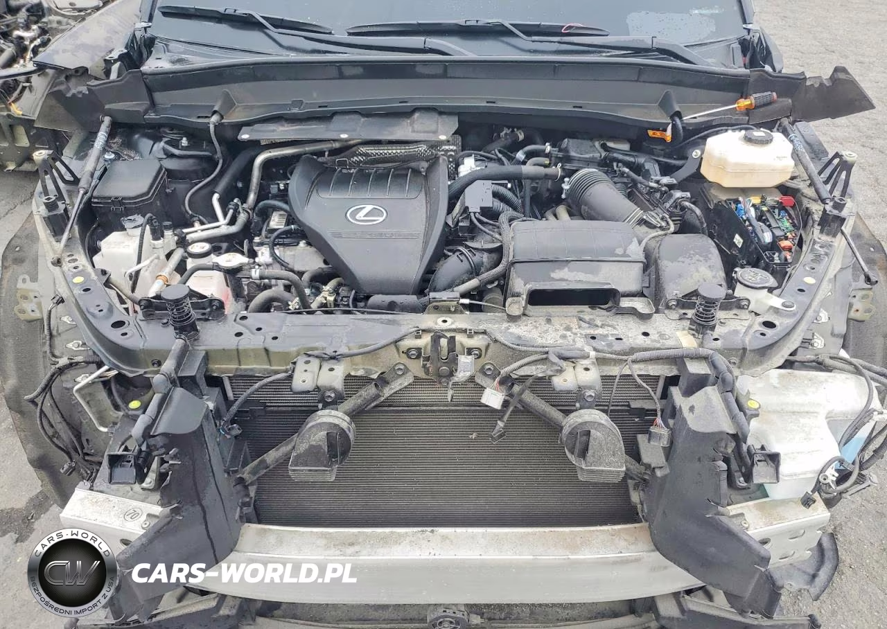 2024 Lexus Tx 500H F Sport Performance Premium VIN:5TDABAB69RS004015 - 12
