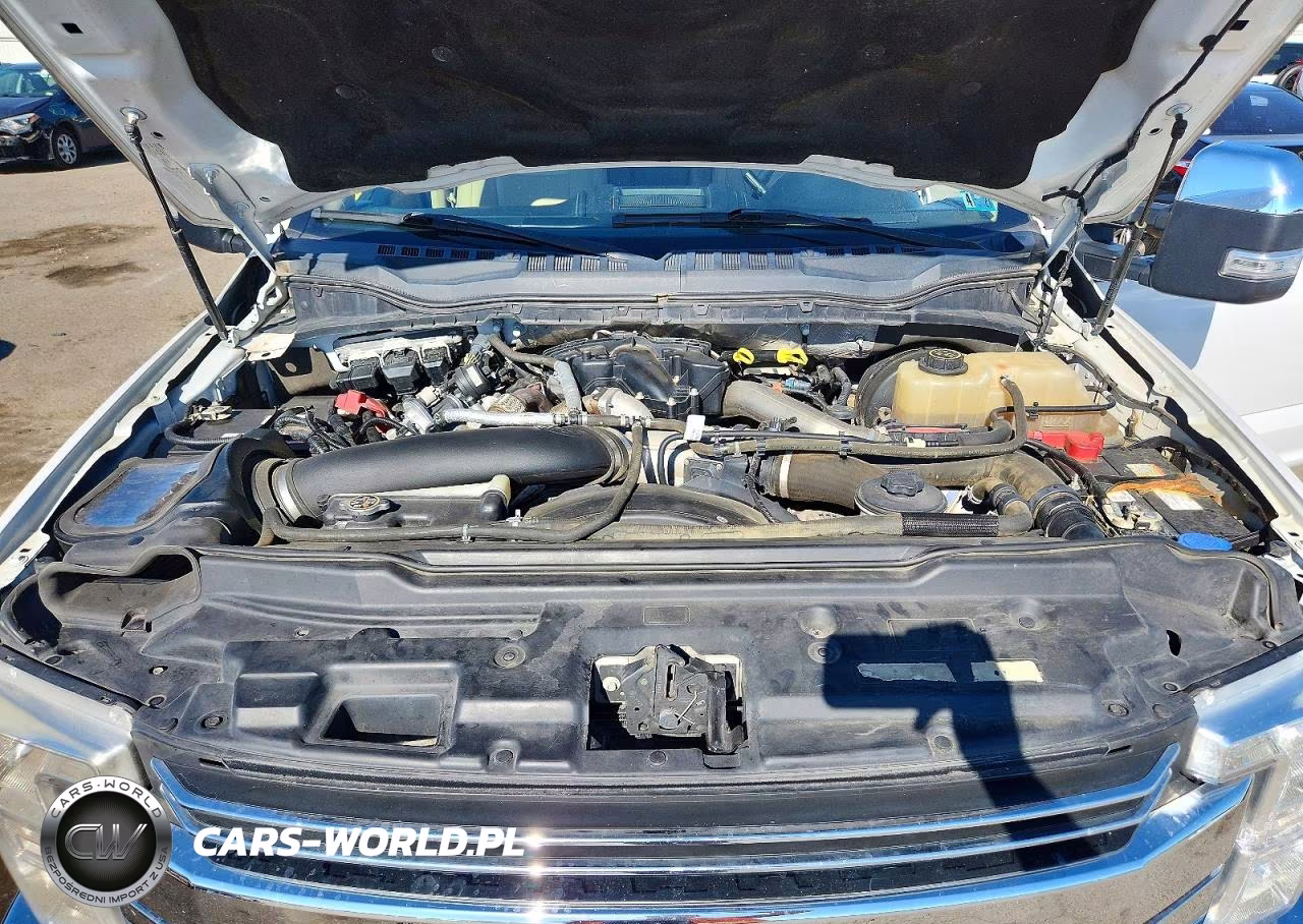 FORD F250 SUPER VIN:1FT7W2BT9KEC54974 - 11
