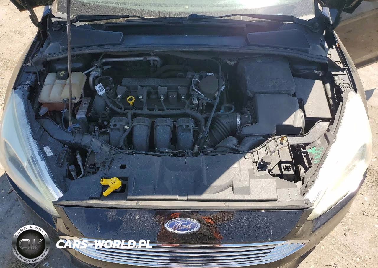 2016 Ford Focus Titanium VIN:1FADP3N21GL205432 - 11