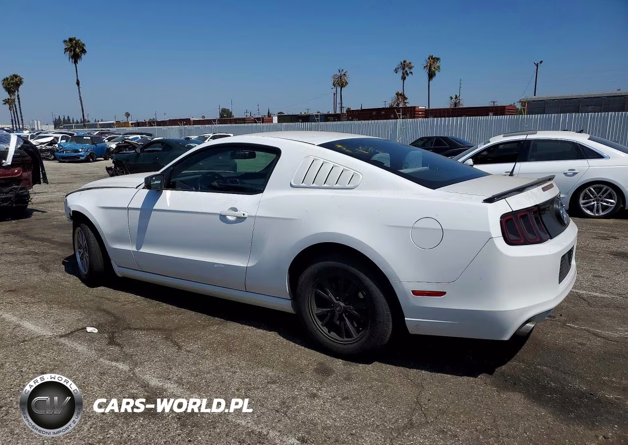 2014 Ford Mustang VIN:1ZVBP8AM4E5259487 - 2