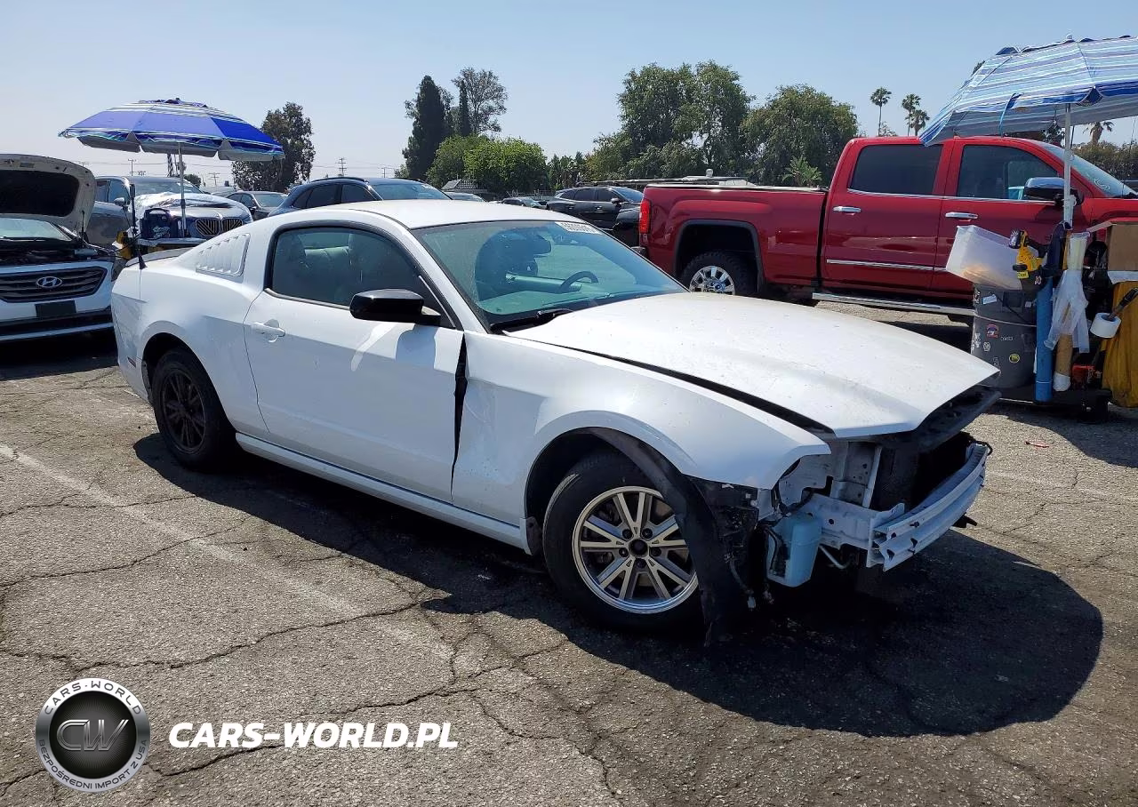 2014 Ford Mustang VIN:1ZVBP8AM4E5259487 - 4