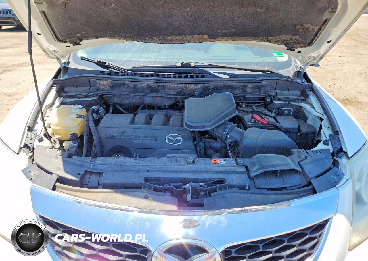 2010 Mazda Cx-9 VIN:JM3TB2MA4A0207683 - 12