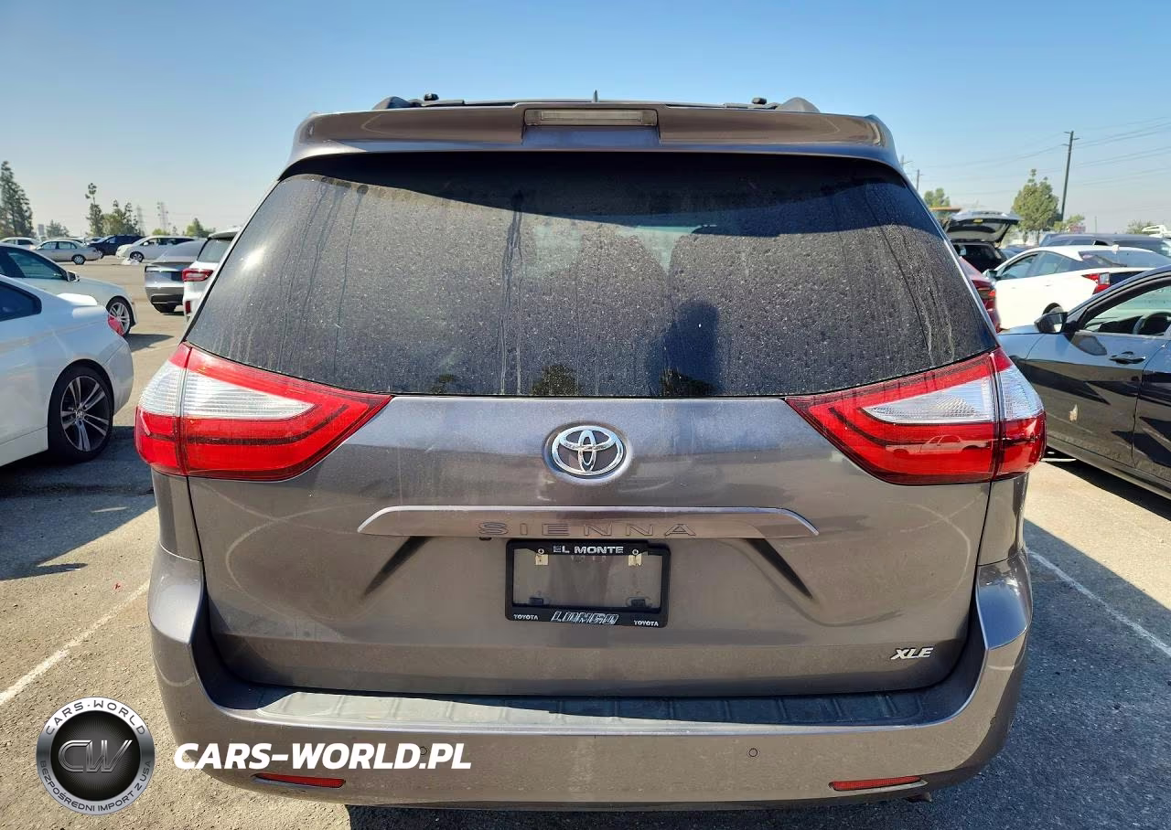 2018 Toyota Sienna Xle 8-Passenger VIN:5TDYZ3DC1JS928218 - 6