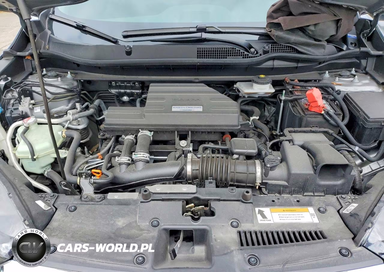 2019 Honda Cr-V Exl VIN:5J6RW2H86KL031082 - 12