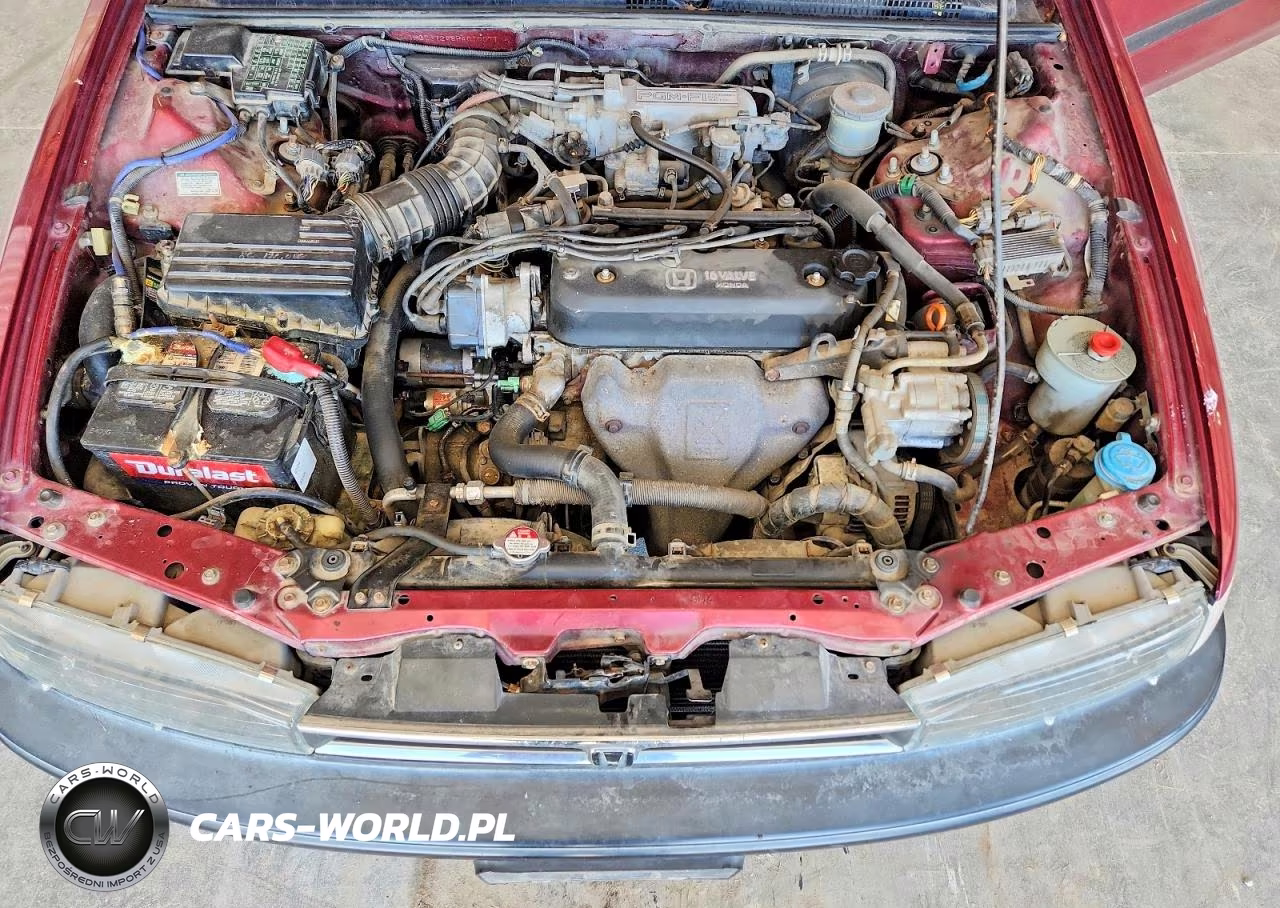 1993 Honda Accord Dx VIN:1HGCB7248PA010071 - 11