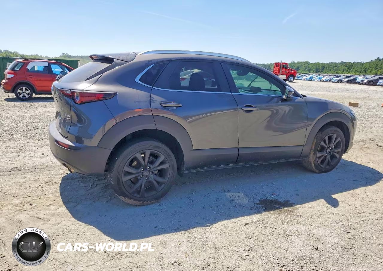 2021 Mazda Cx-30 VIN:3MVDMBAY8MM231929 - 3