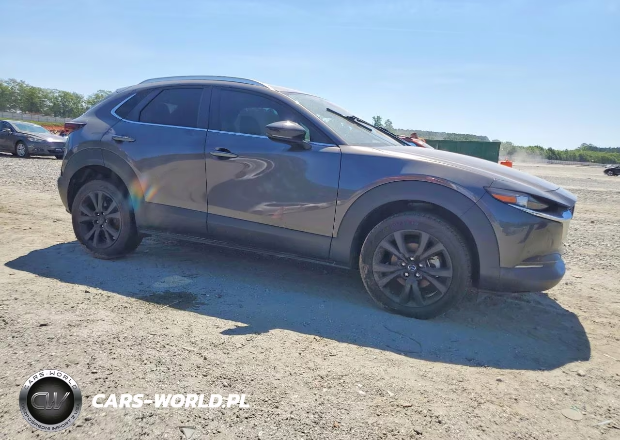 2021 Mazda Cx-30 VIN:3MVDMBAY8MM231929 - 4