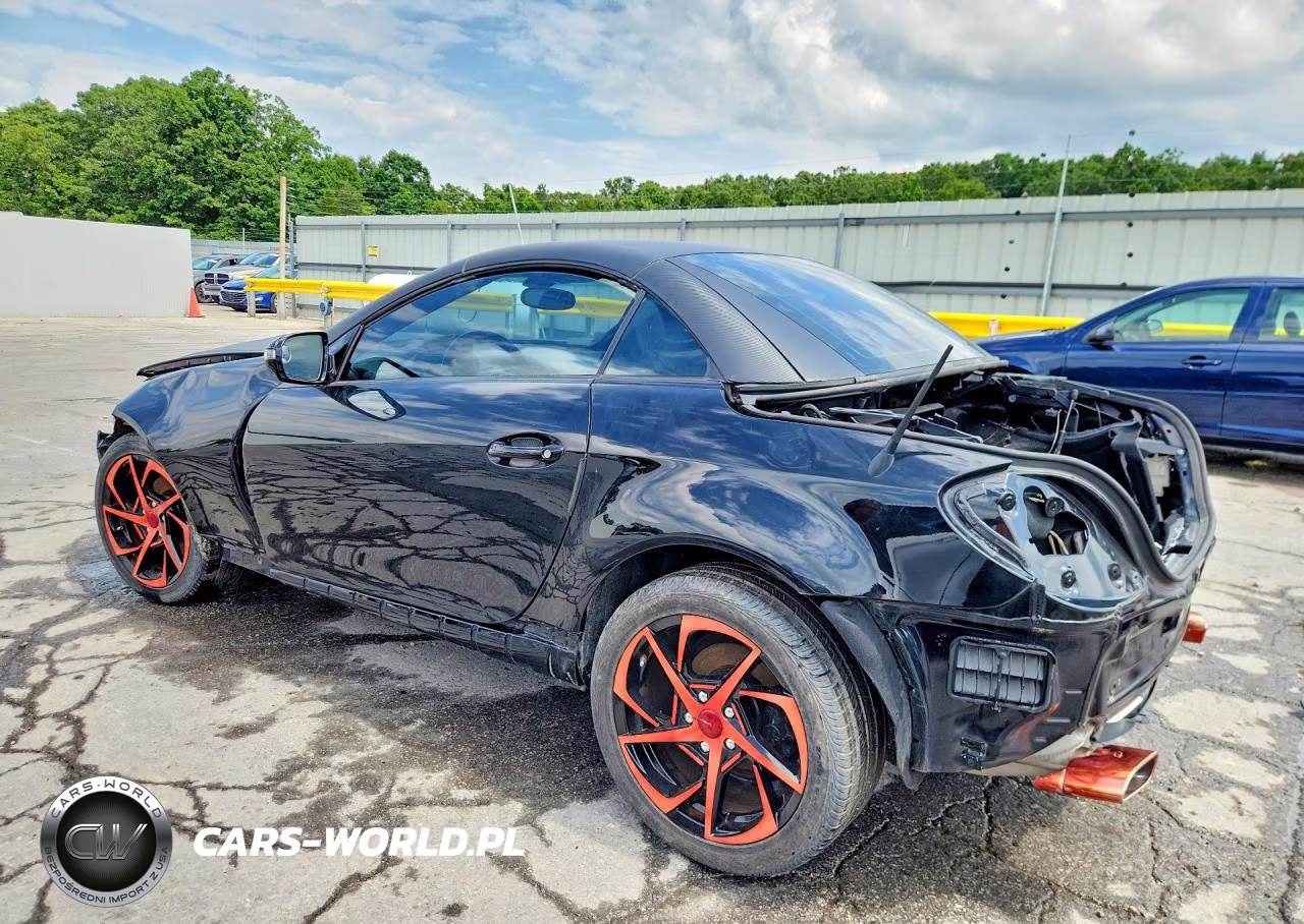2009 Mercedes-Benz Slk 300 VIN:WDBWK54F19F192490 - 2