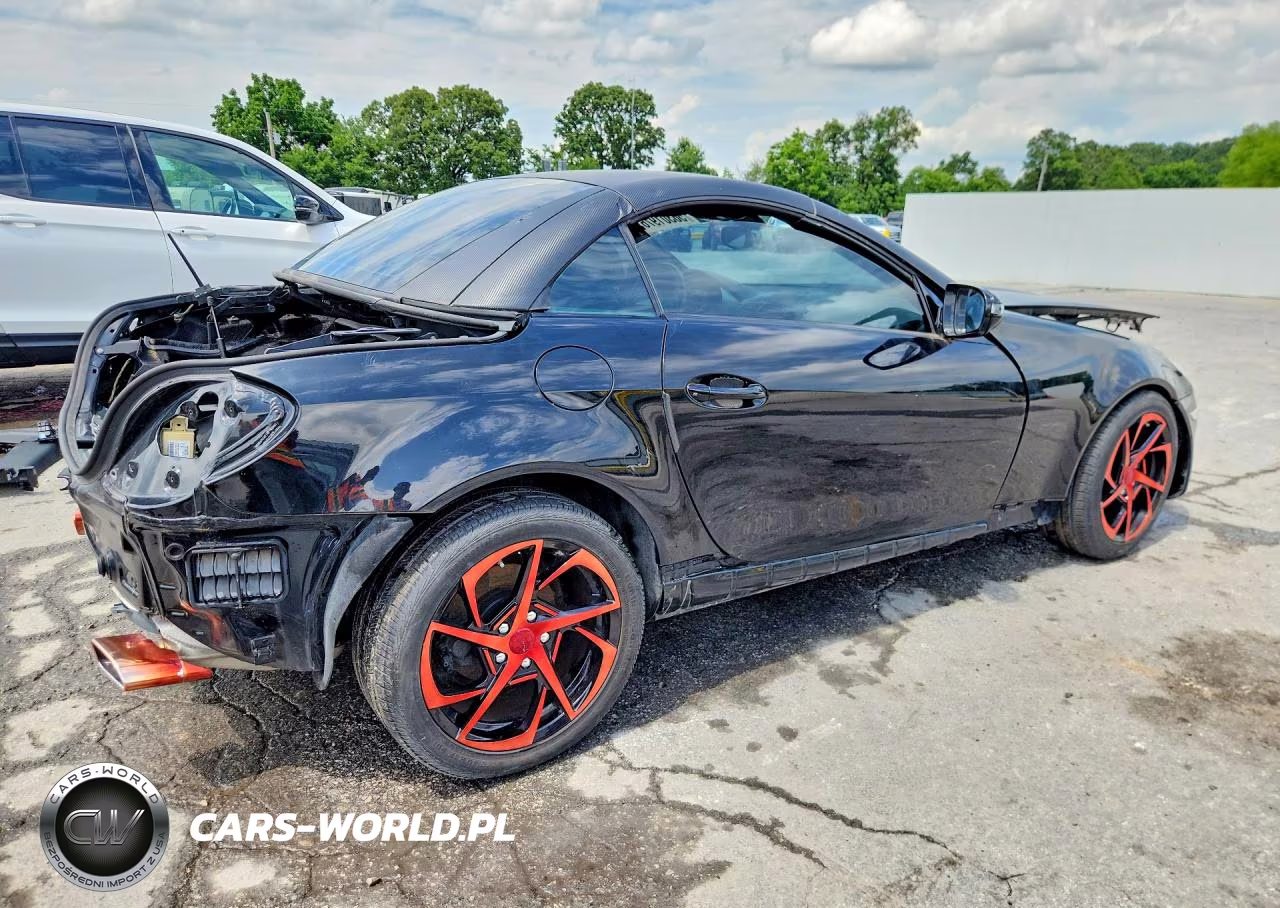 2009 Mercedes-Benz Slk 300 VIN:WDBWK54F19F192490 - 3