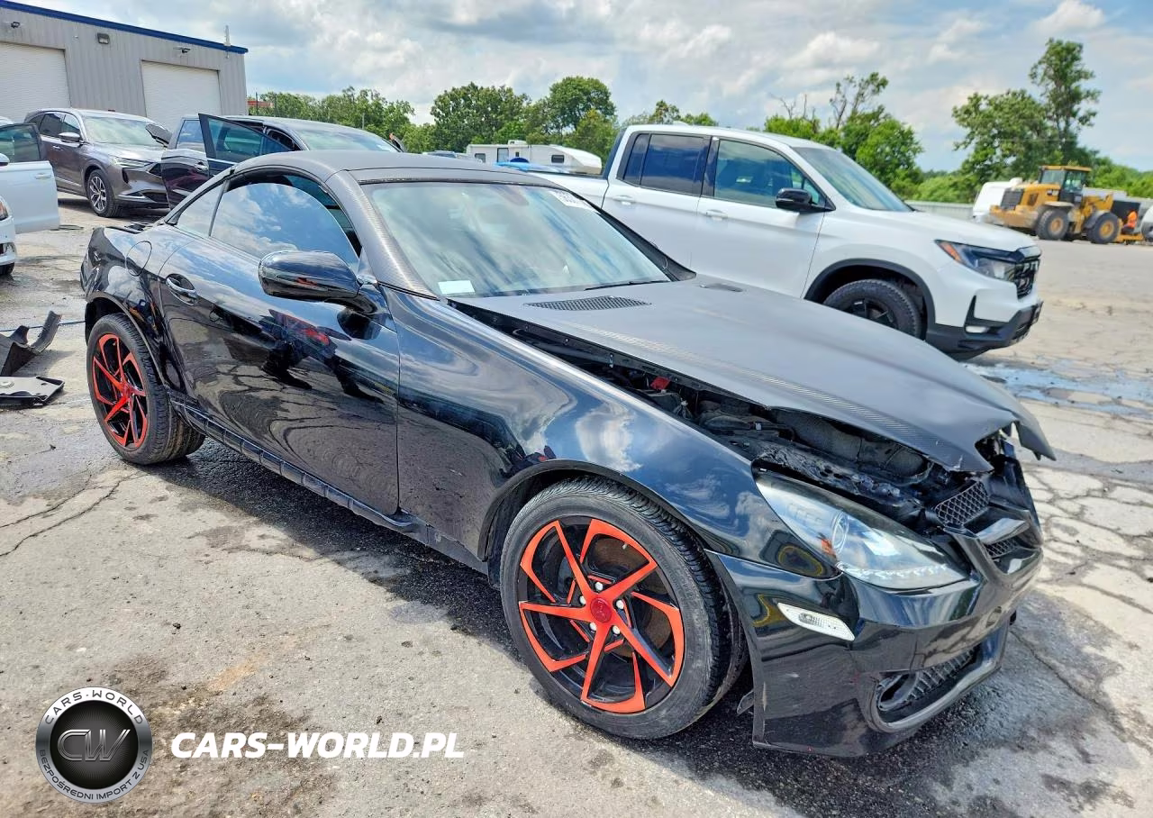 2009 Mercedes-Benz Slk 300 VIN:WDBWK54F19F192490 - 4
