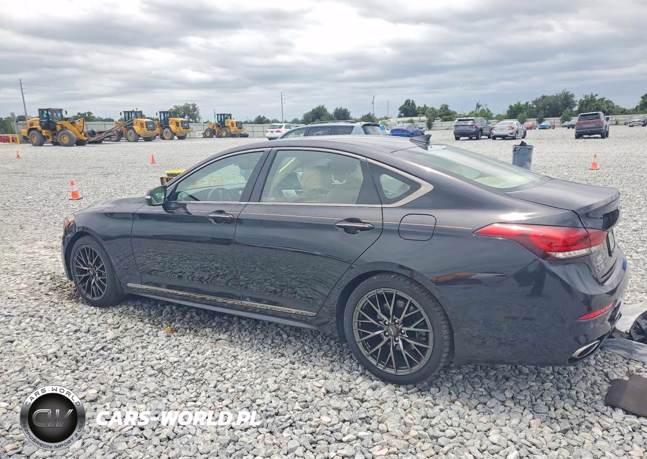 2019 Genesis G80 3.8 VIN:KMHGN4JE1KU291830 - 2