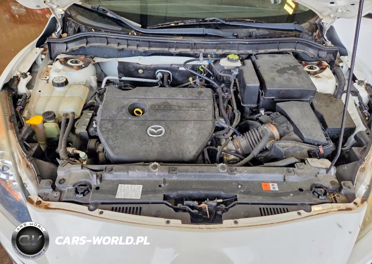 2010 Mazda 3 I VIN:JM1BL1SF4A1197256 - 11