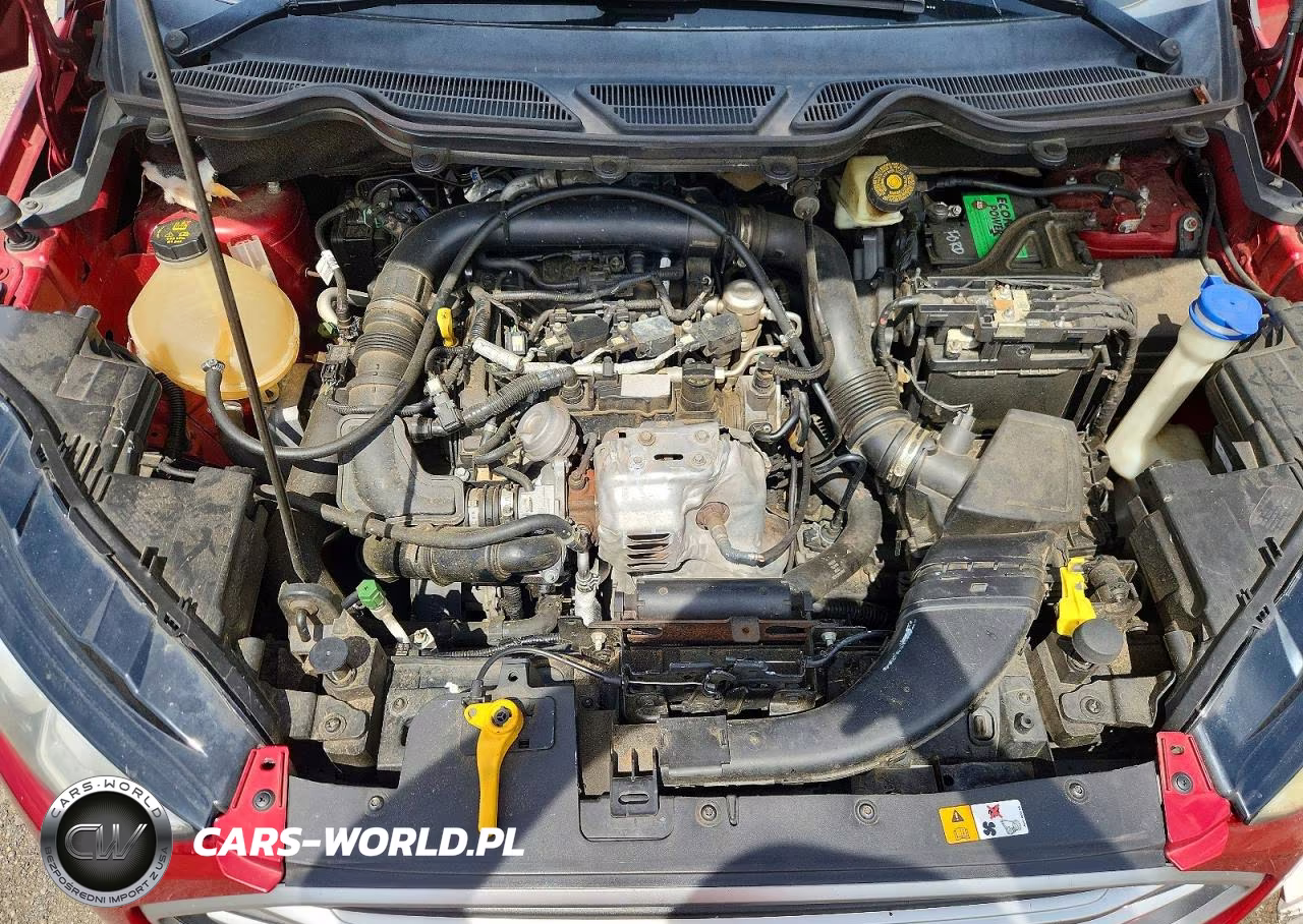 2018 Ford Ecosport Se VIN:MAJ3P1TE7JC204998 - 12