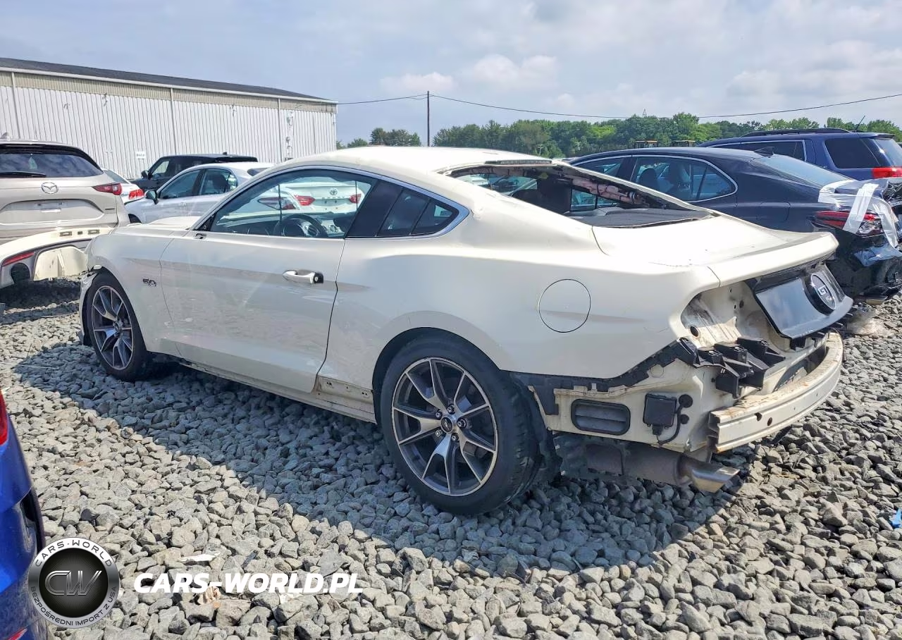2015 Ford Mustang 50Th Anniversary VIN:1FA6P8RF9F5500123 - 2