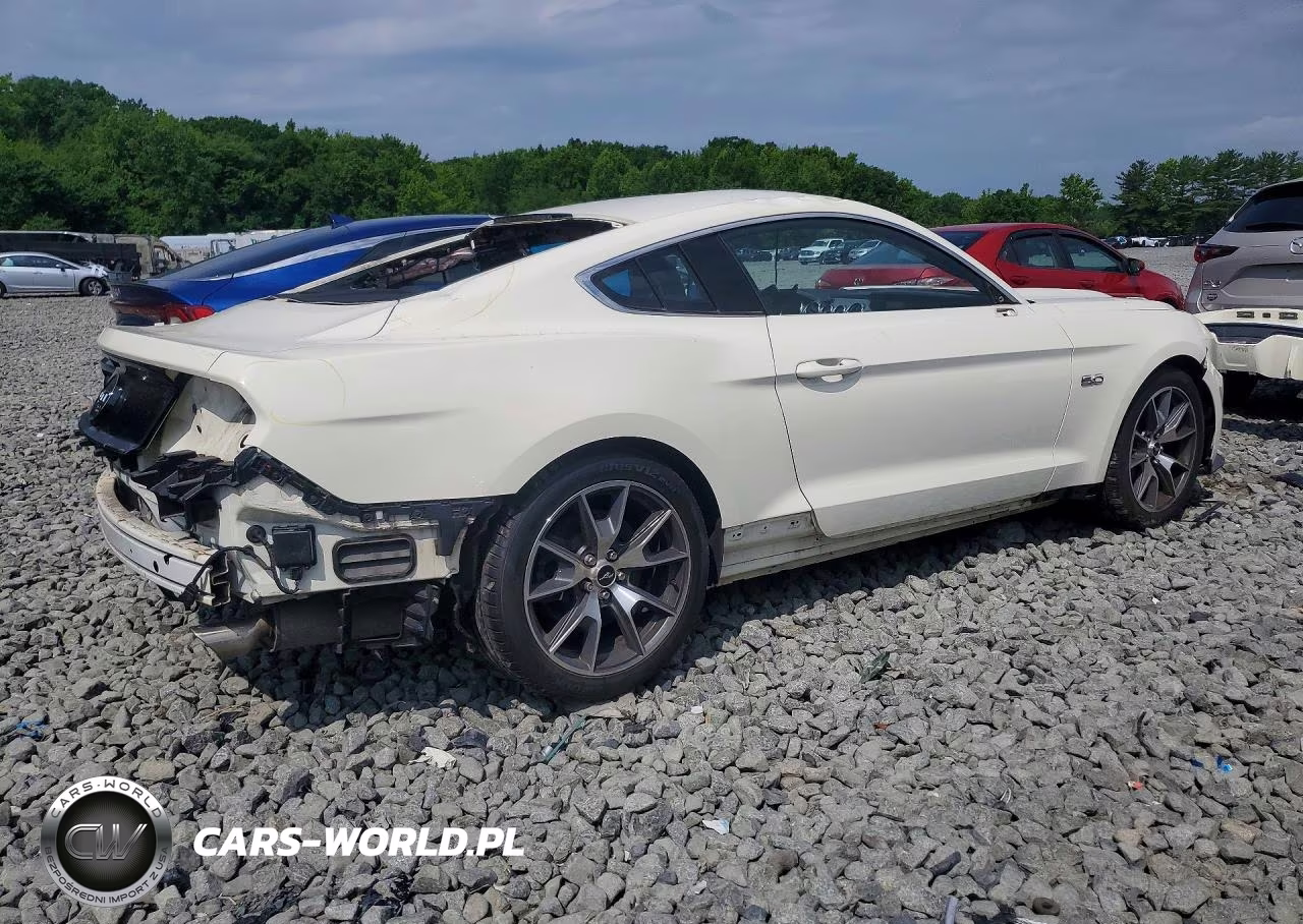 2015 Ford Mustang 50Th Anniversary VIN:1FA6P8RF9F5500123 - 3