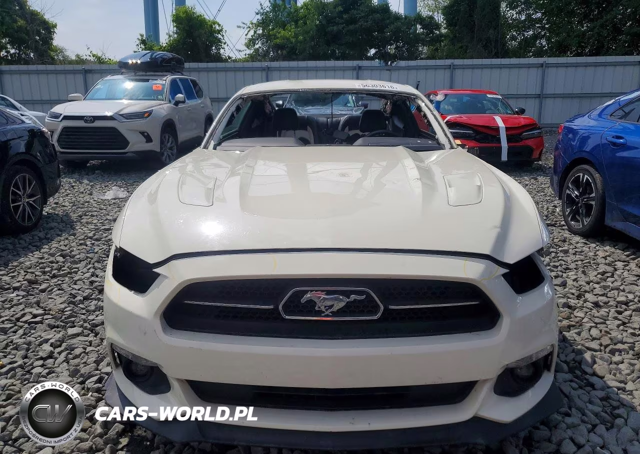 2015 Ford Mustang 50Th Anniversary VIN:1FA6P8RF9F5500123 - 5