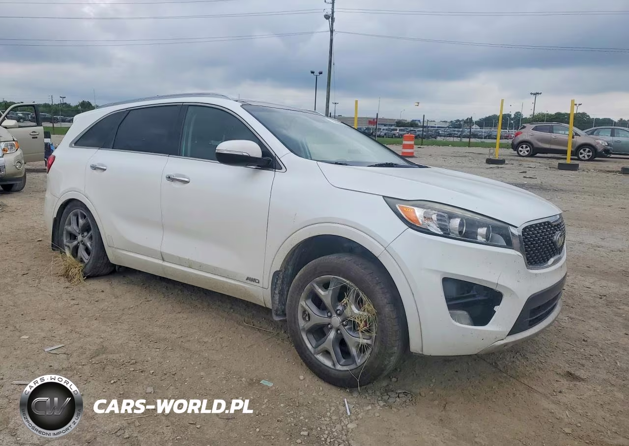 2017 Kia Sorento Sx V6 VIN:5XYPKDA59HG199825 - 4