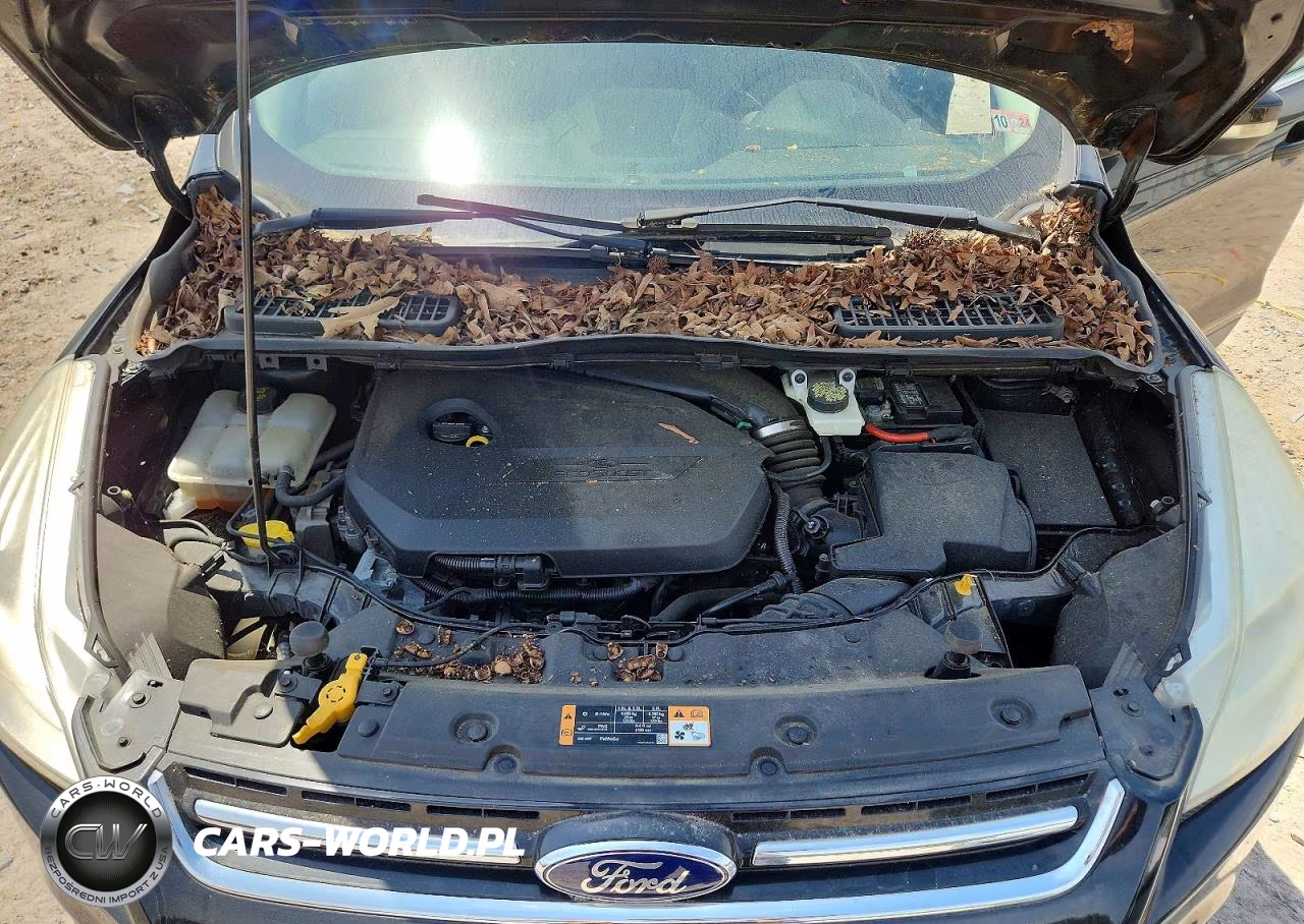 2014 Ford Escape Titanium VIN:1FMCU0JX2EUE21615 - 12