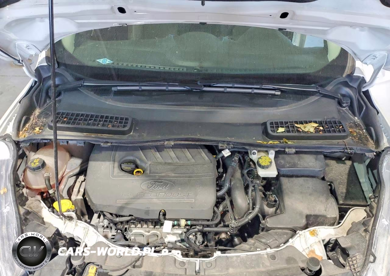 2018 Ford Escape Se VIN:1FMCU0GD0JUB82699 - 12