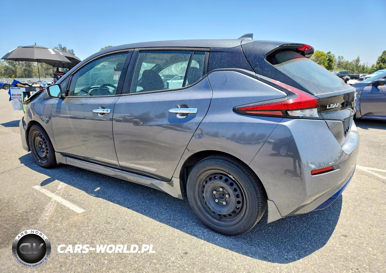 2020 Nissan Leaf S VIN:1N4AZ1BPXLC302446 - 2
