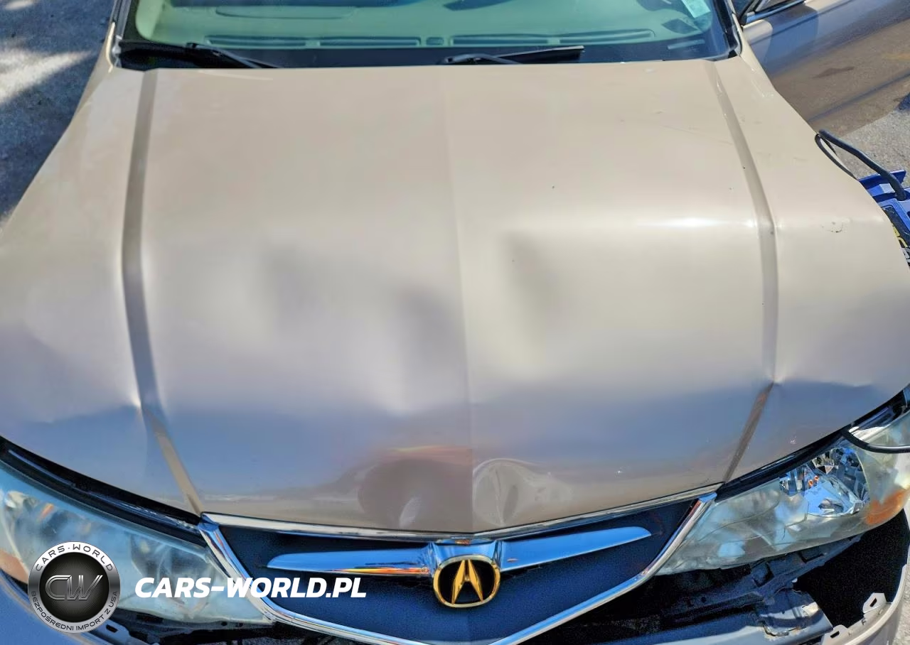2002 Acura 3.2Tl VIN:19UUA56662A044915 - 11