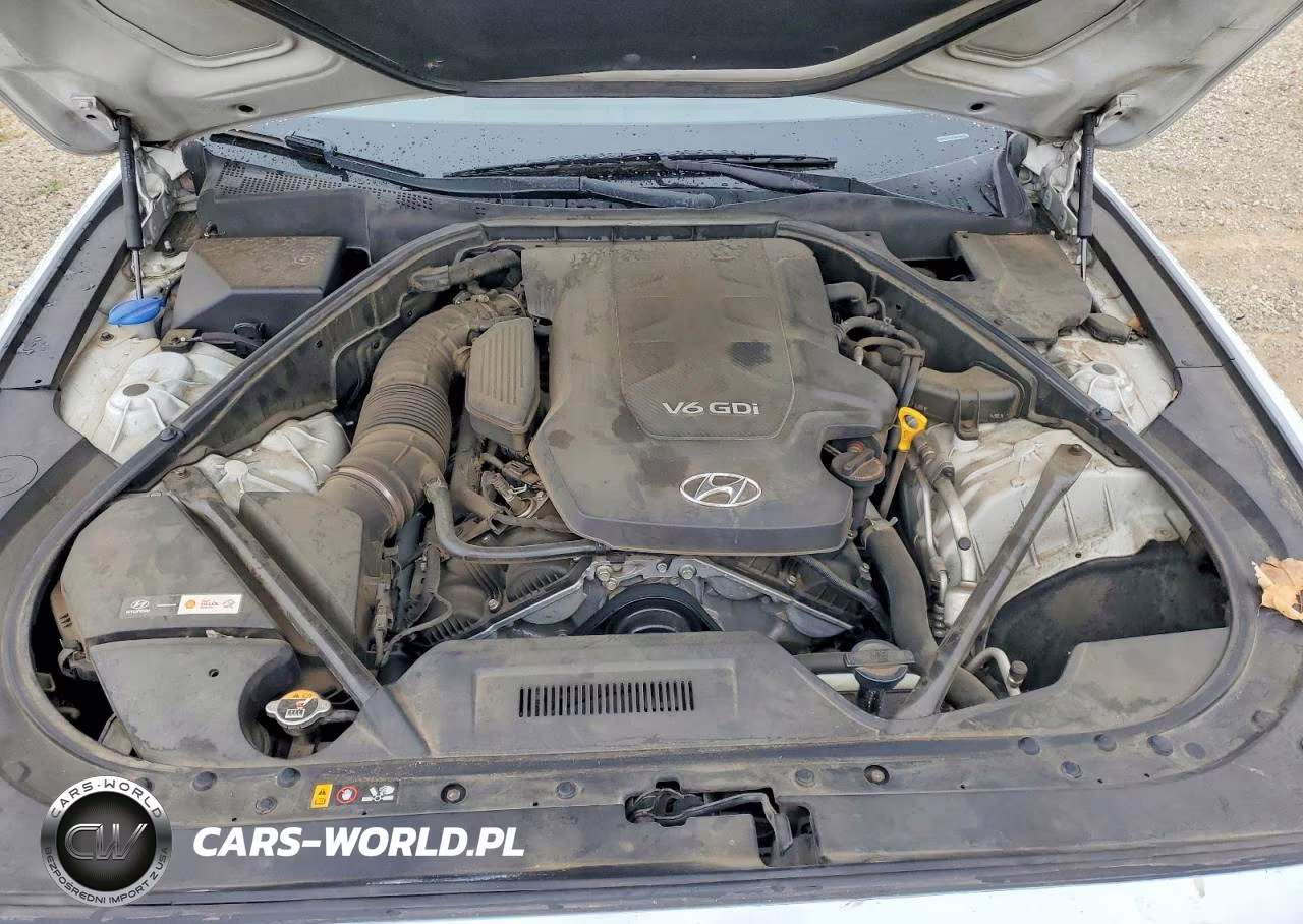 2016 Hyundai Genesis 3.8L VIN:KMHGN4JE2GU142947 - 11