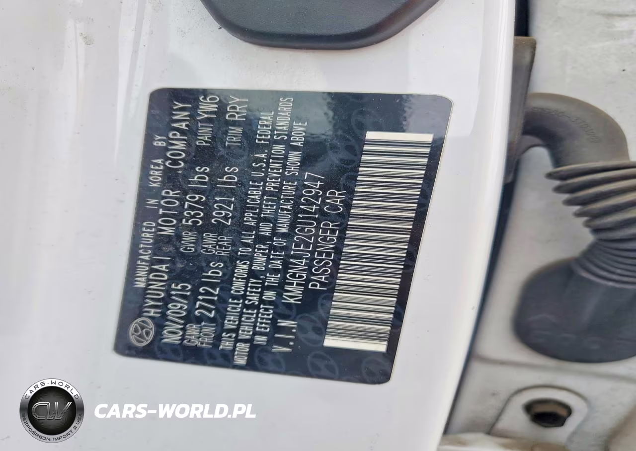 2016 Hyundai Genesis 3.8L VIN:KMHGN4JE2GU142947 - 12