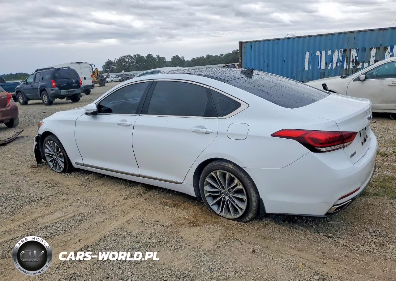 2016 Hyundai Genesis 3.8L VIN:KMHGN4JE2GU142947 - 2