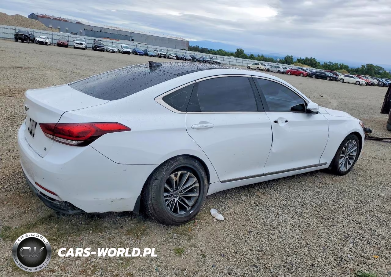 2016 Hyundai Genesis 3.8L VIN:KMHGN4JE2GU142947 - 3