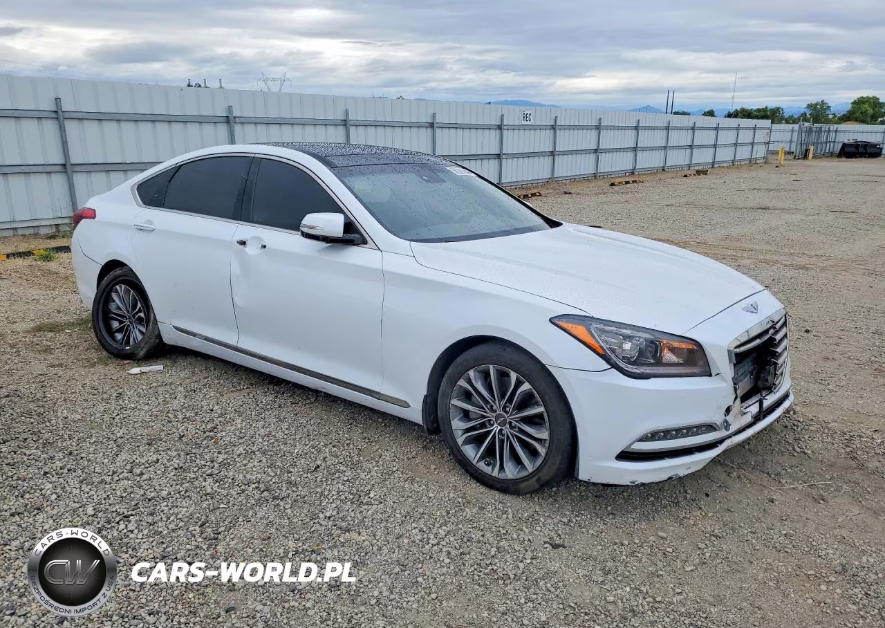 2016 Hyundai Genesis 3.8L VIN:KMHGN4JE2GU142947 - 4