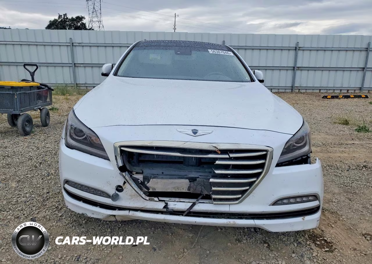 2016 Hyundai Genesis 3.8L VIN:KMHGN4JE2GU142947 - 5
