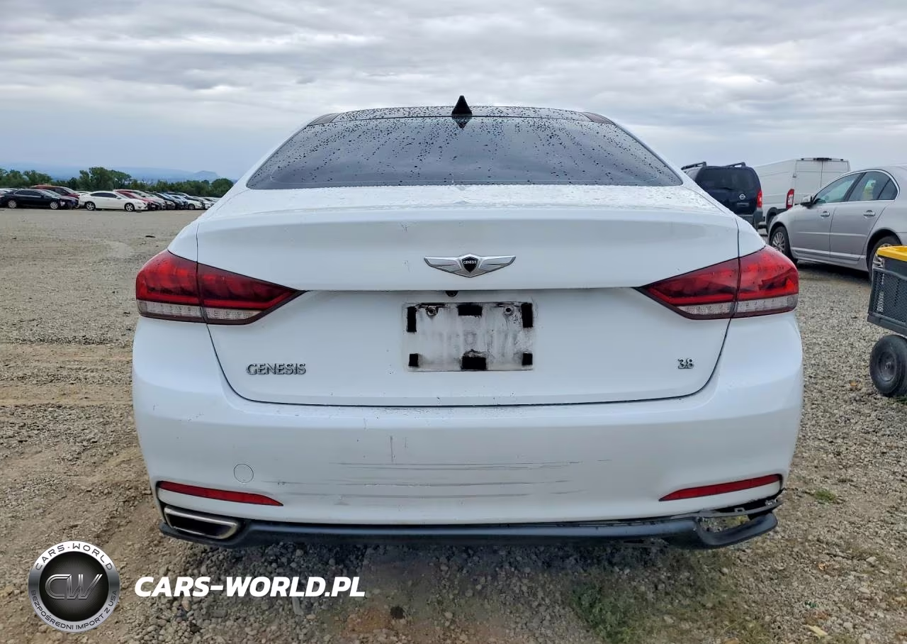 2016 Hyundai Genesis 3.8L VIN:KMHGN4JE2GU142947 - 6