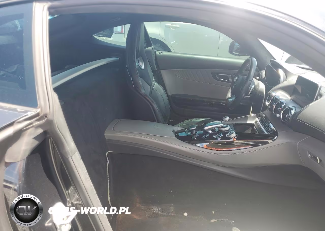2016 Mercedes-Benz Amg Gt S VIN:WDDYJ7JA1GA004665 - 10