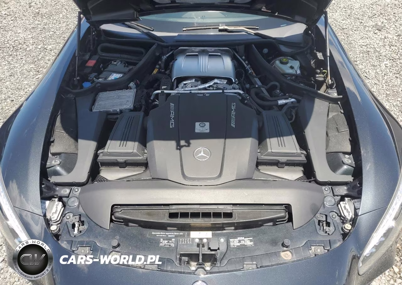 2016 Mercedes-Benz Amg Gt S VIN:WDDYJ7JA1GA004665 - 11