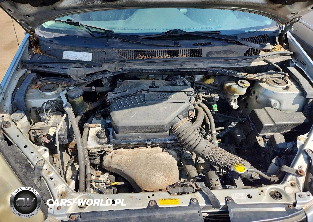 2005 Toyota Rav4 Base VIN:JTEHD20V556033283 - 11